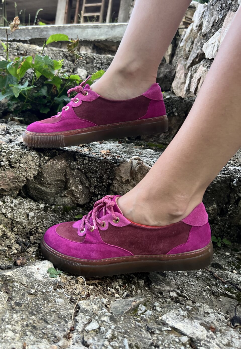 Daisy Magenta
